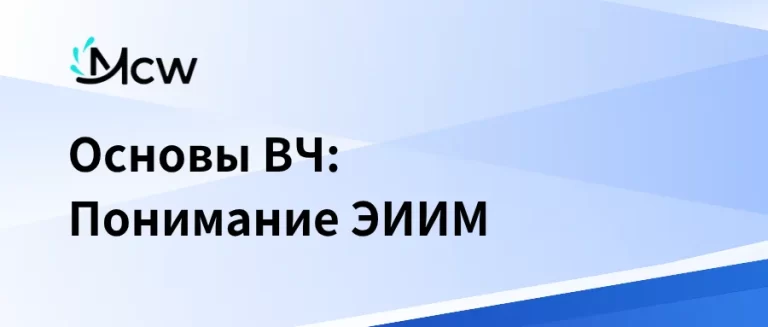Основы ВЧ Понимание ЭИИМ