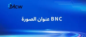 عنوان الصورة دليل اختيار محول BNC