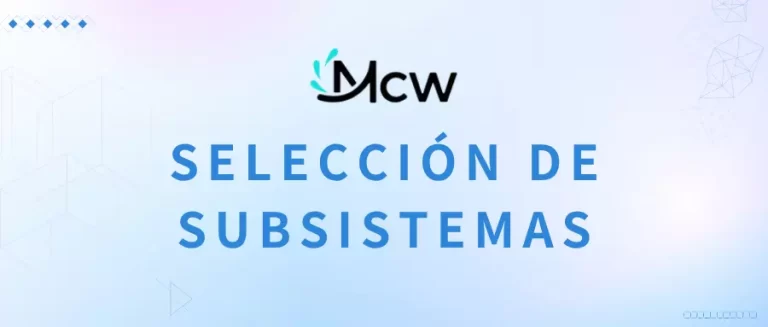 SELECCIÓN DE SUBSISTEMAS