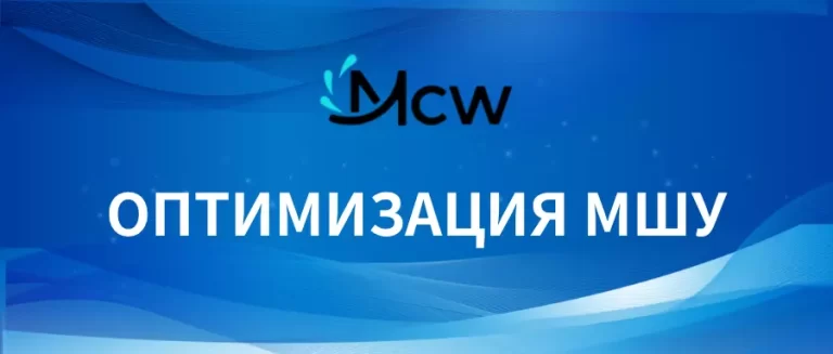 ОПТИМИЗАЦИЯ МШУ